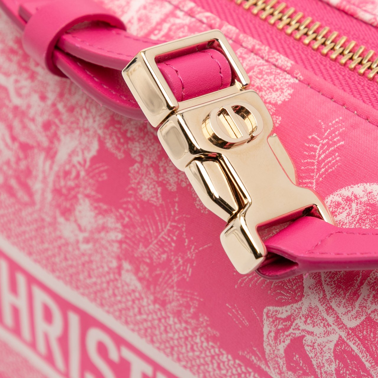 Dior Medium Technical Fabric Toile de Jouy Reverse DiorTravel Nomad Pouch Roze