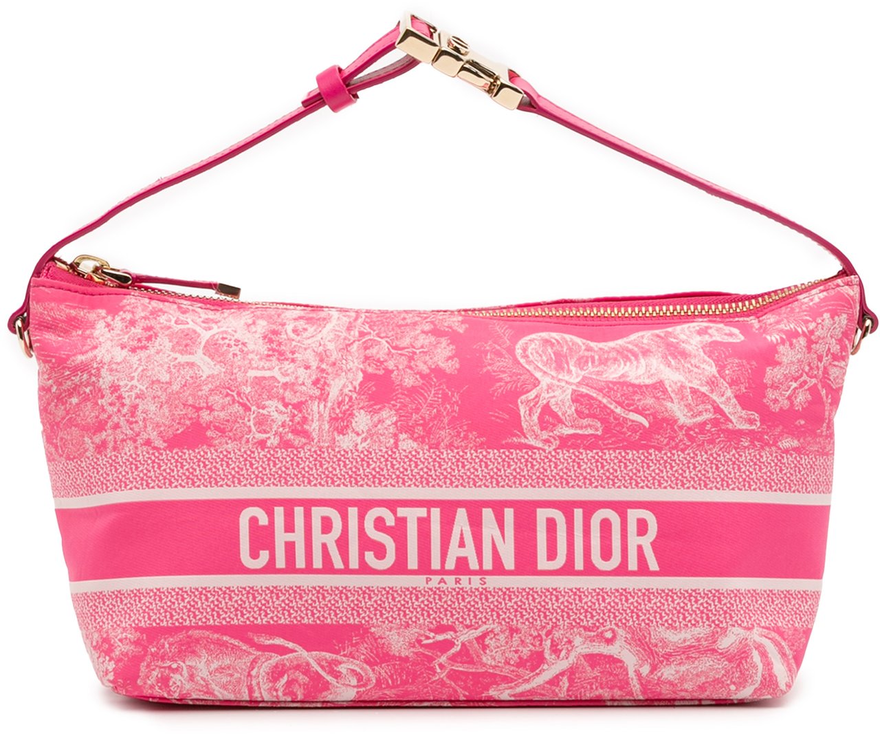 Dior Medium Technical Fabric Toile de Jouy Reverse DiorTravel Nomad Pouch Roze