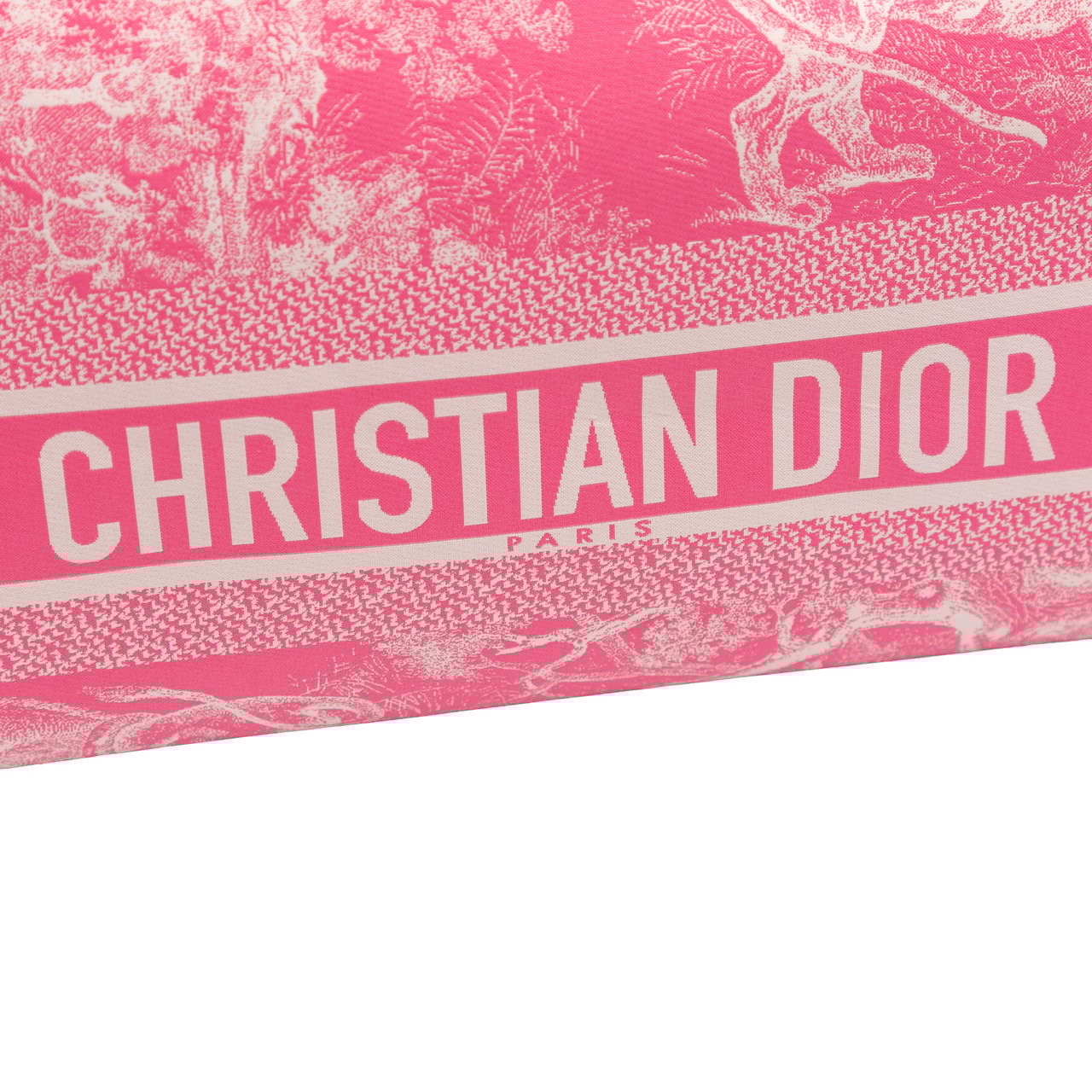 Dior Medium Technical Fabric Toile de Jouy Reverse DiorTravel Nomad Pouch Roze