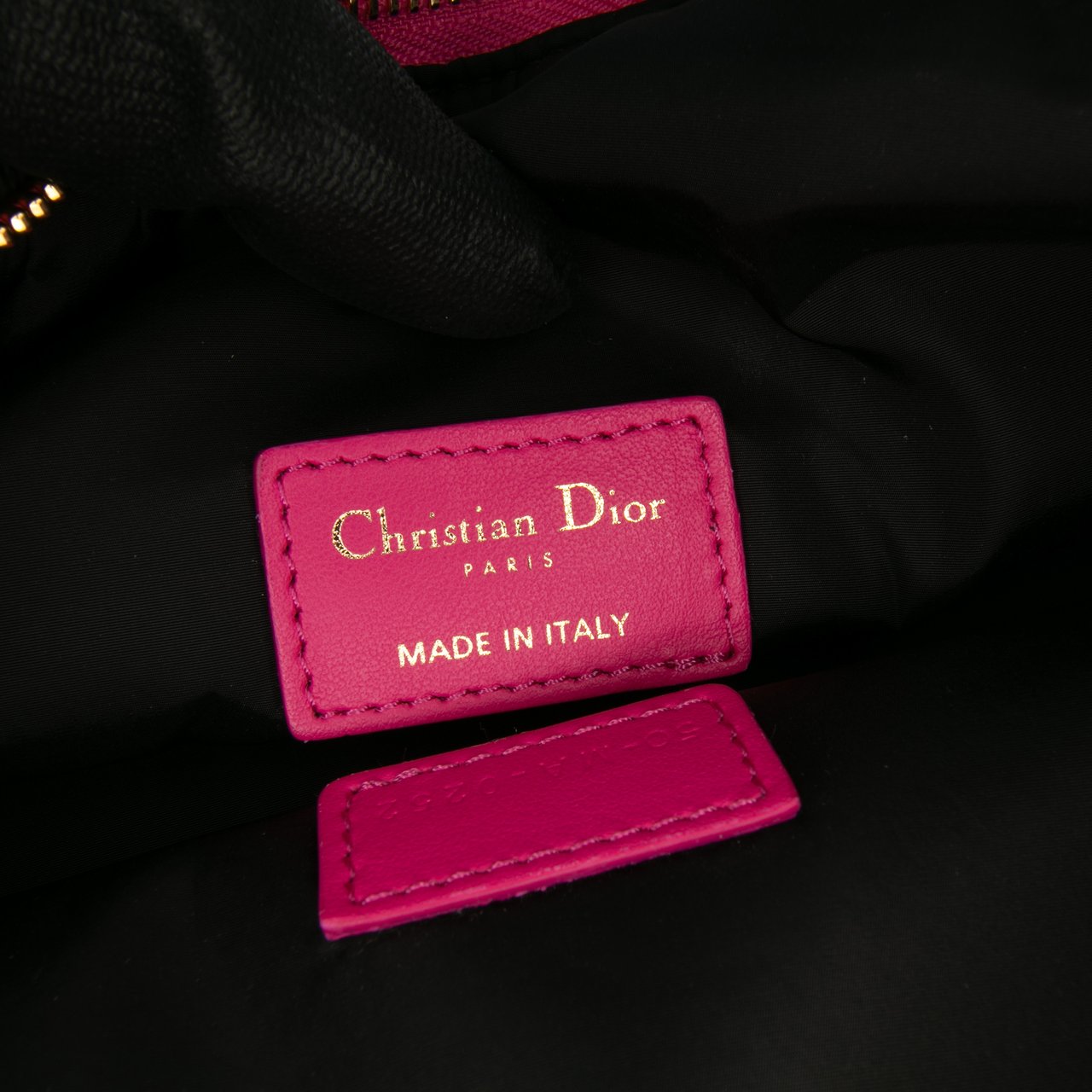 Dior Medium Technical Fabric Toile de Jouy Reverse DiorTravel Nomad Pouch Roze