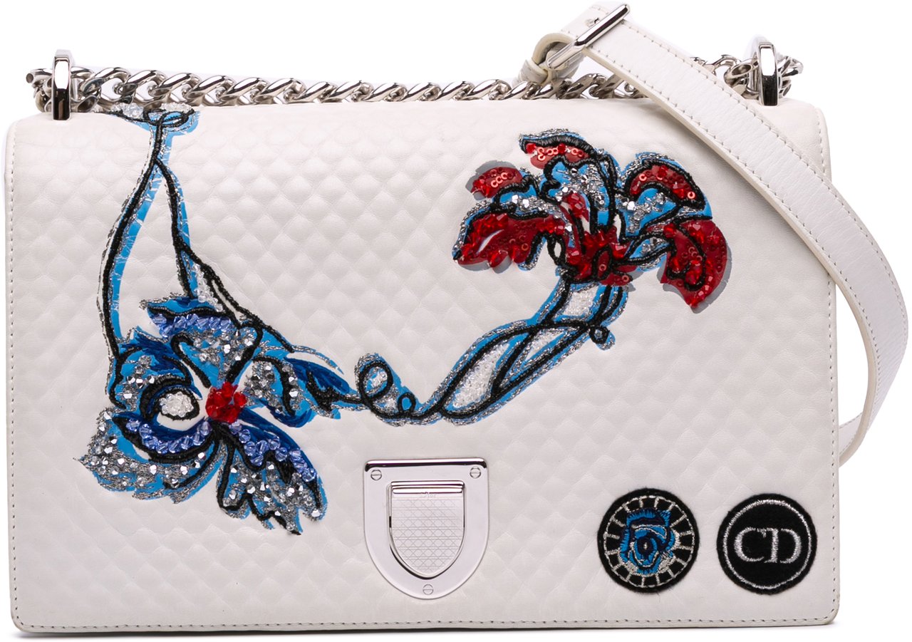 Dior Medium Lambskin Embroidered Diorama Flap Wit