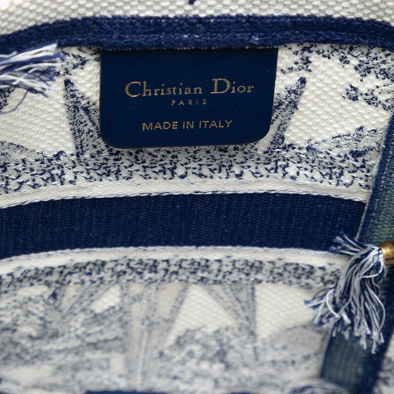 Dior Canvas Embroidered Reve d Infini D Bubble Bucket Bag Blauw