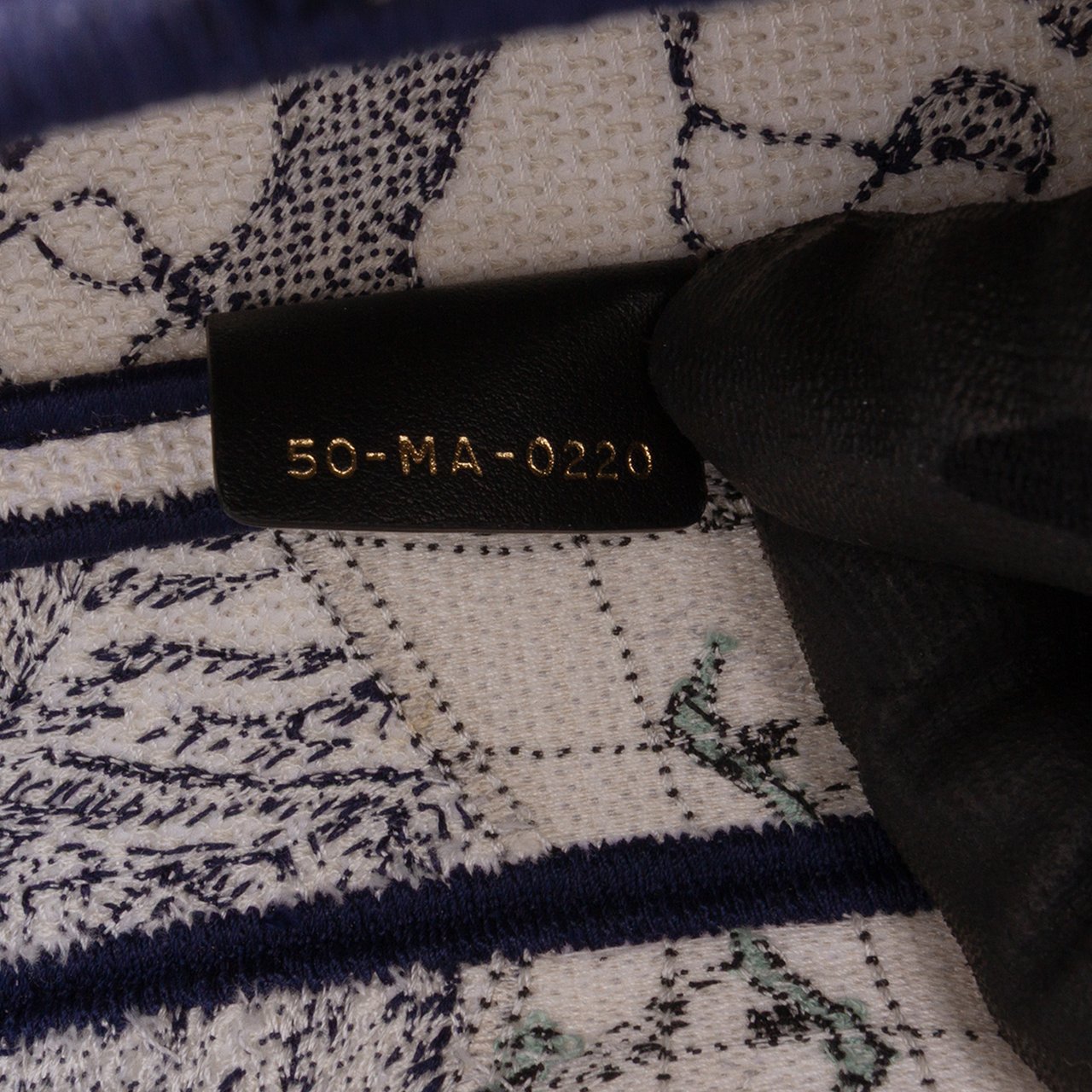 Dior Canvas Embroidered Around the World Saddle Bag Blauw
