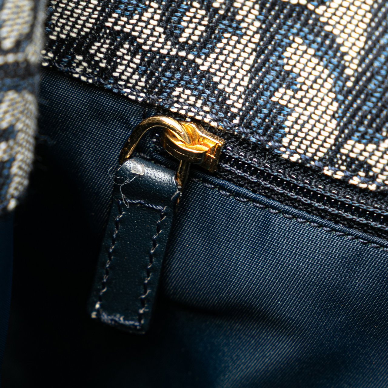 Dior Diorissimo Trotter Canvas Tote Blauw