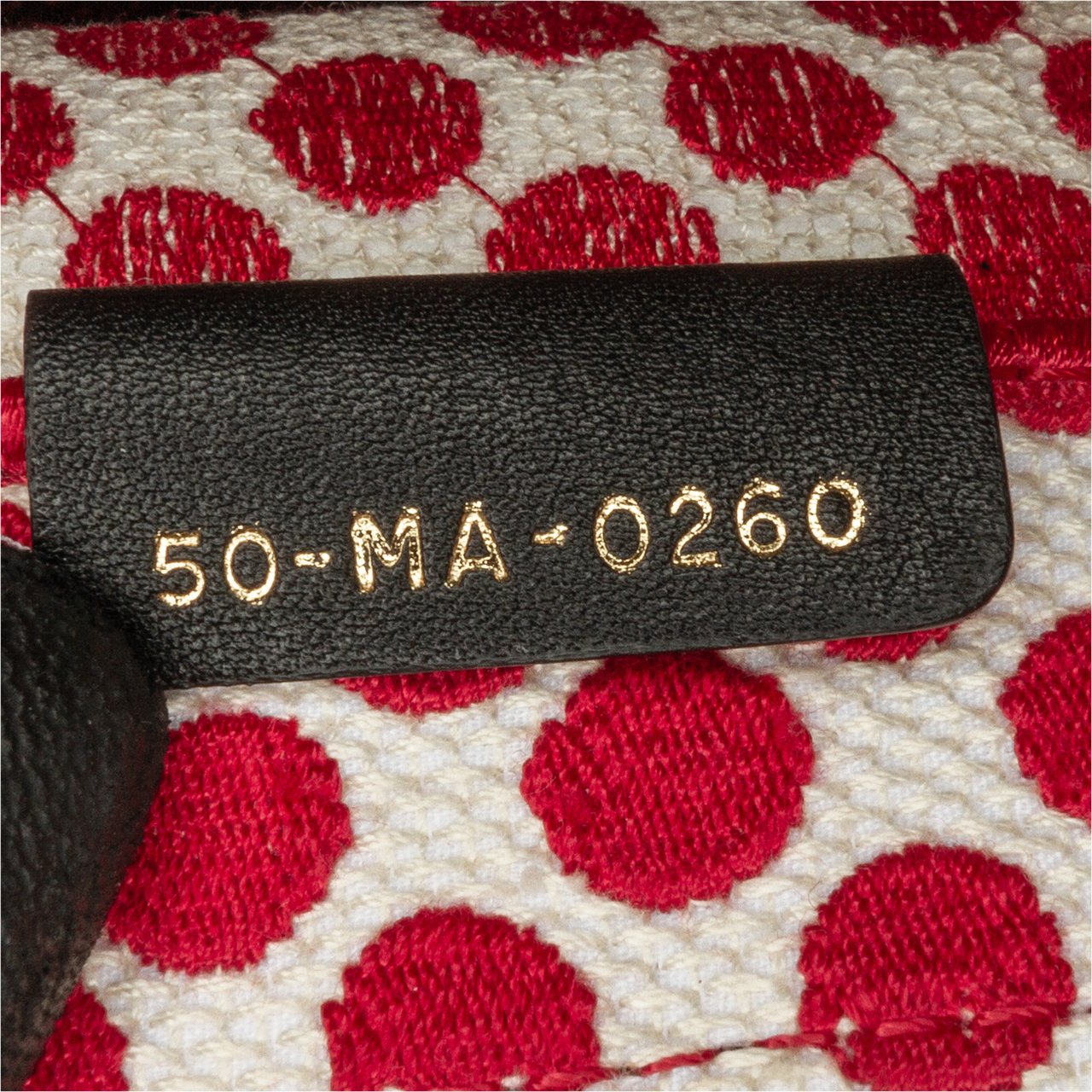 Dior DiorAmour Medium Embroidered Canvas Dots Book Tote Rood