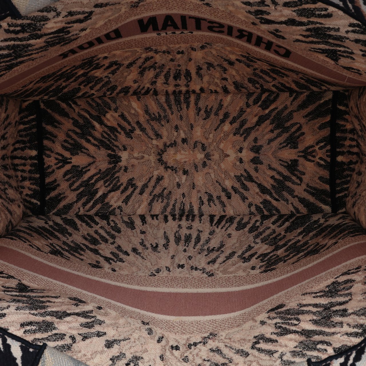 Dior Large Embroidered Canvas Tie Dye Book Tote Bruin