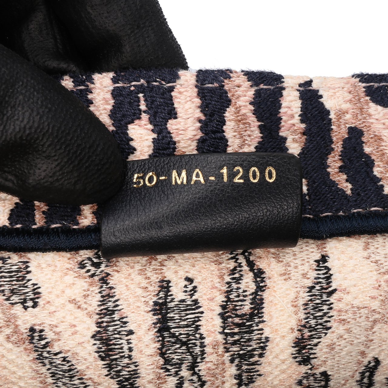 Dior Large Embroidered Canvas Tie Dye Book Tote Bruin