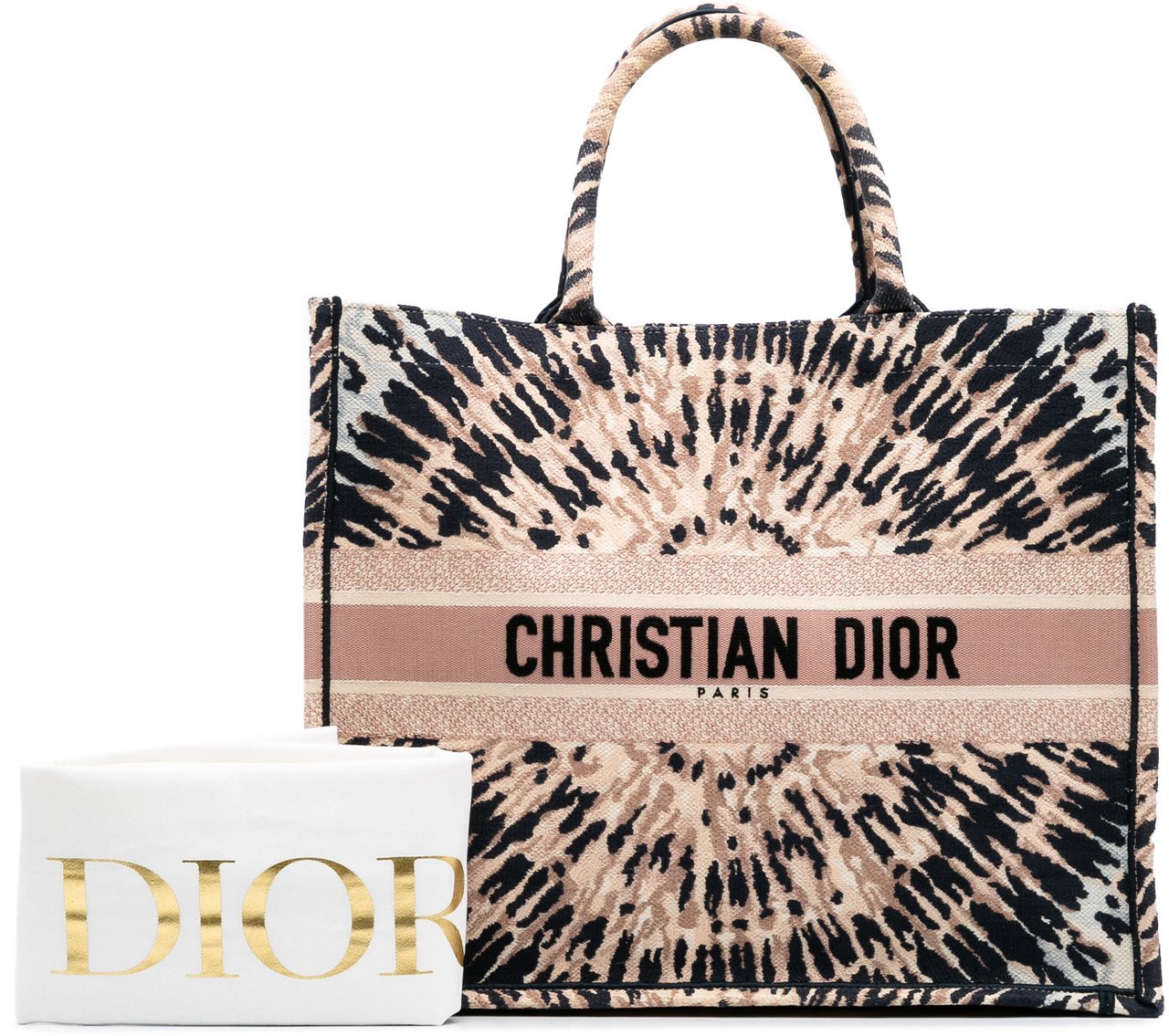 Dior Large Embroidered Canvas Tie Dye Book Tote Bruin