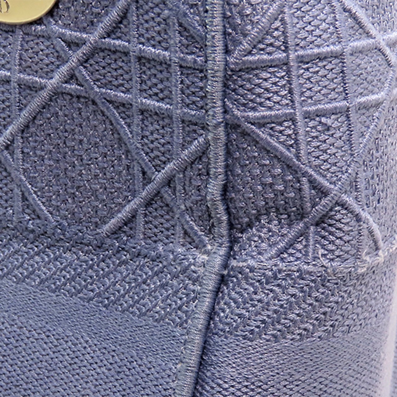 Dior Medium Canvas Cannage Lady D Lite Paars