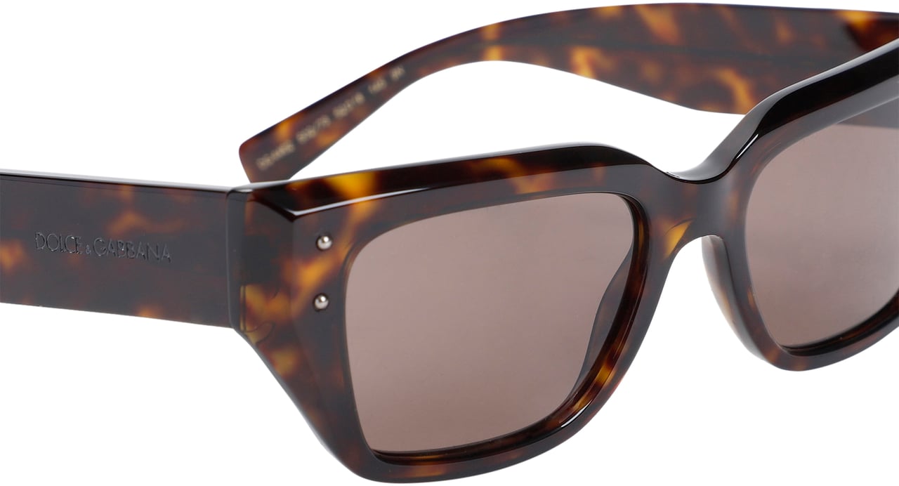 Dolce & Gabbana DOLCE & GABBANA EYEWEAR 0DG4462 Bruin