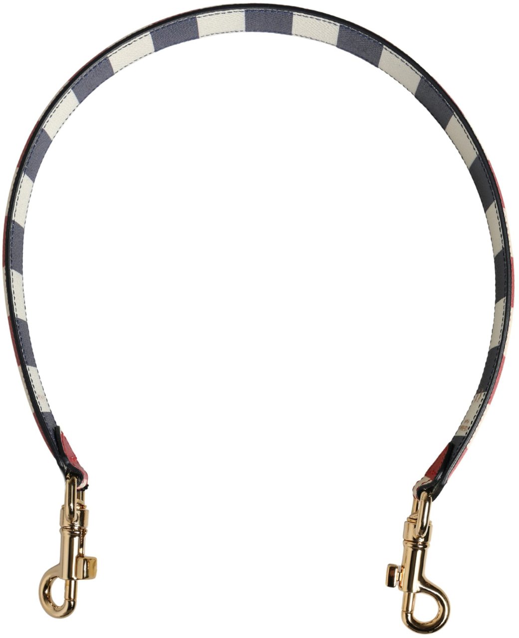 Dolce & Gabbana Multicolor Leather Striped Bag Accessory Shoulder Strap Divers
