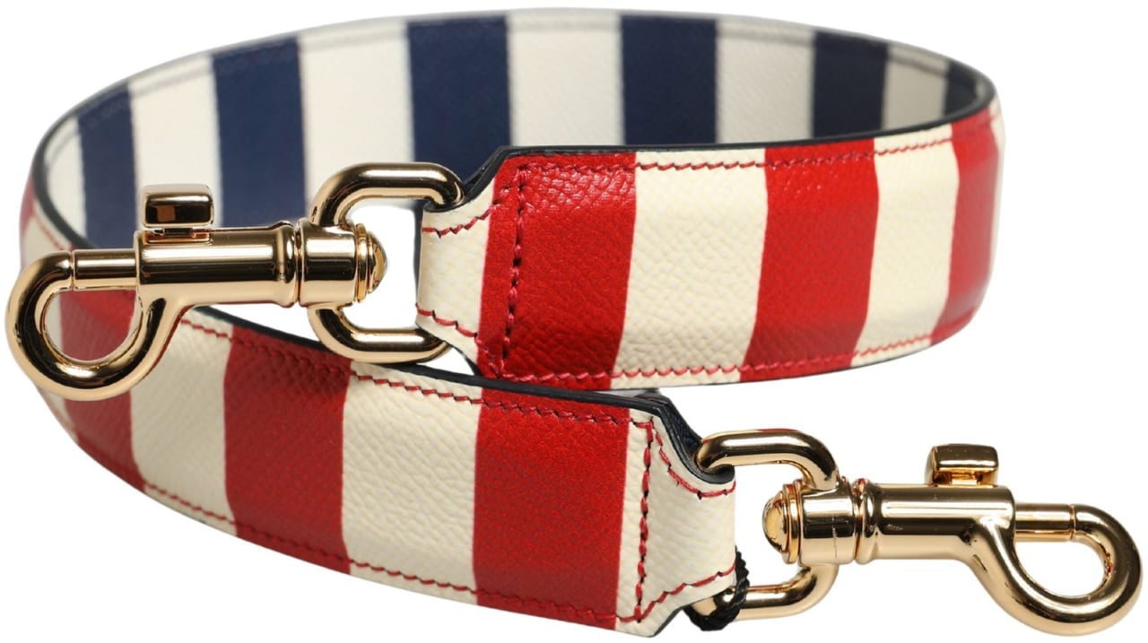 Dolce & Gabbana Multicolor Leather Striped Bag Accessory Shoulder Strap Divers