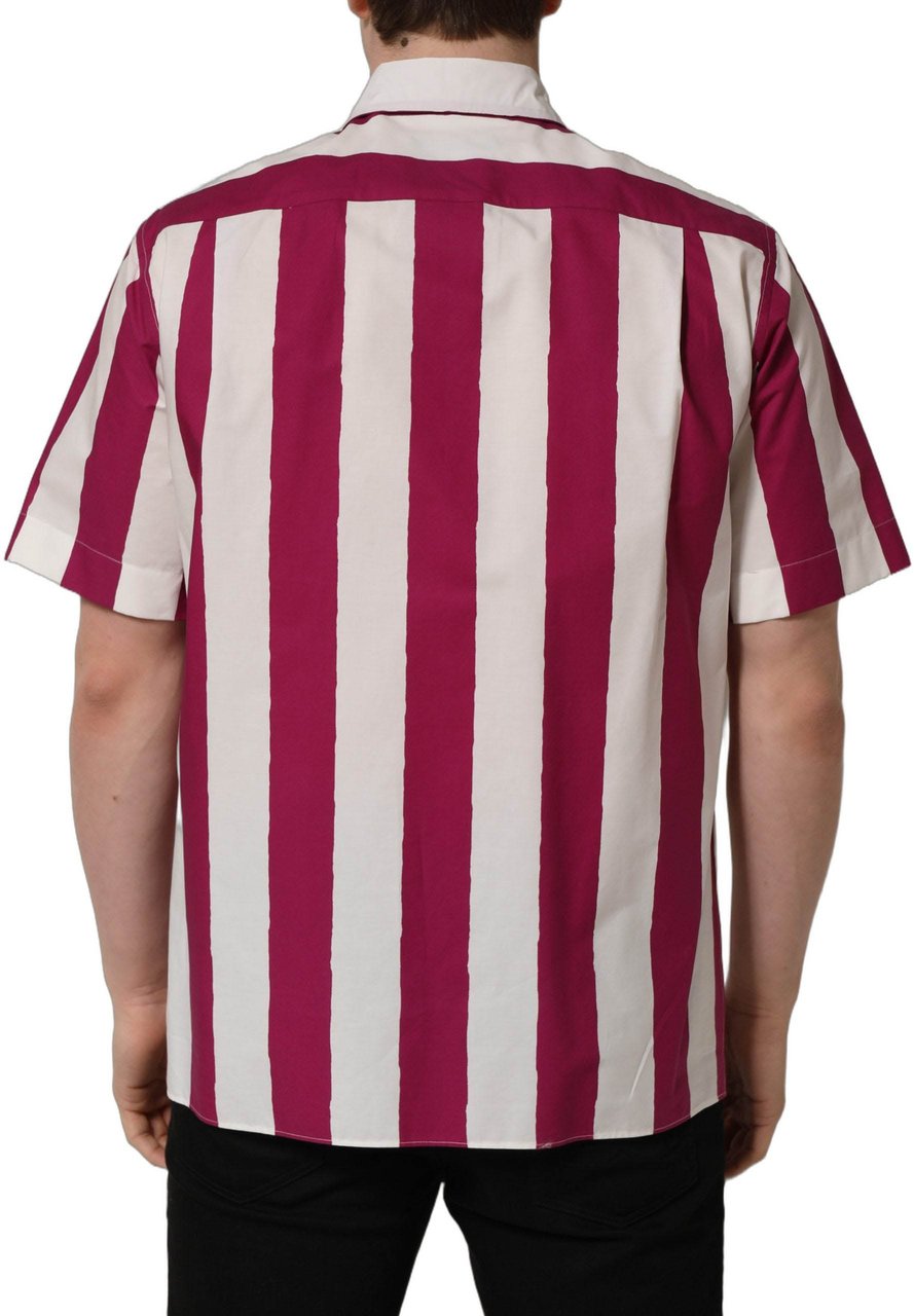 Dolce & Gabbana White Maroon Striped Men Short Sleeves Shirt Wit