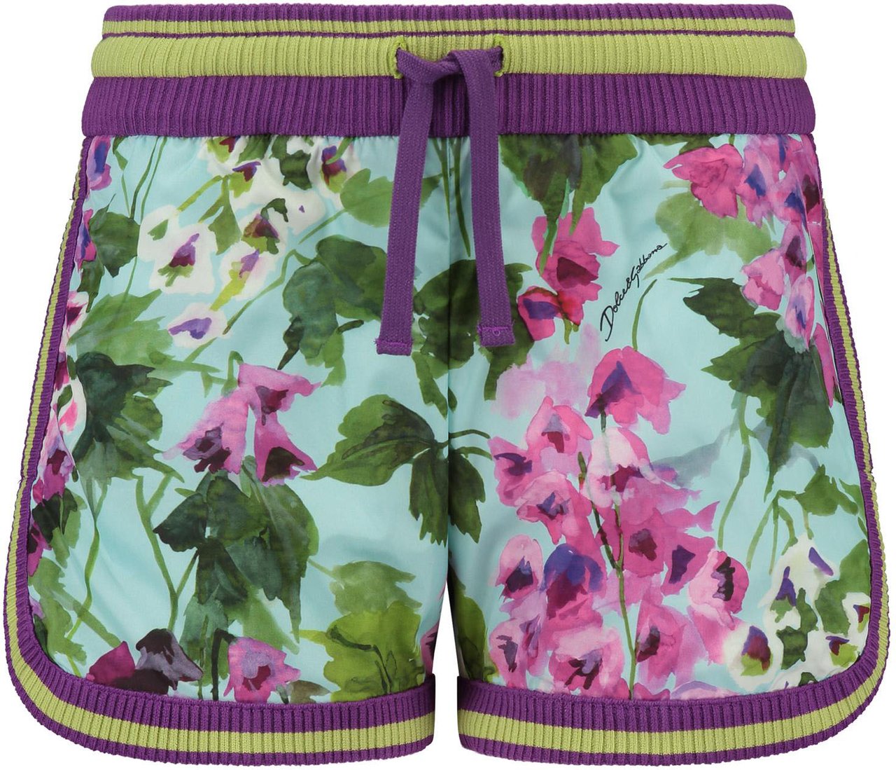 Dolce & Gabbana Shorts Paars