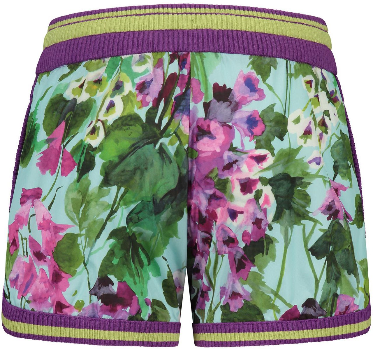 Dolce & Gabbana Shorts Paars