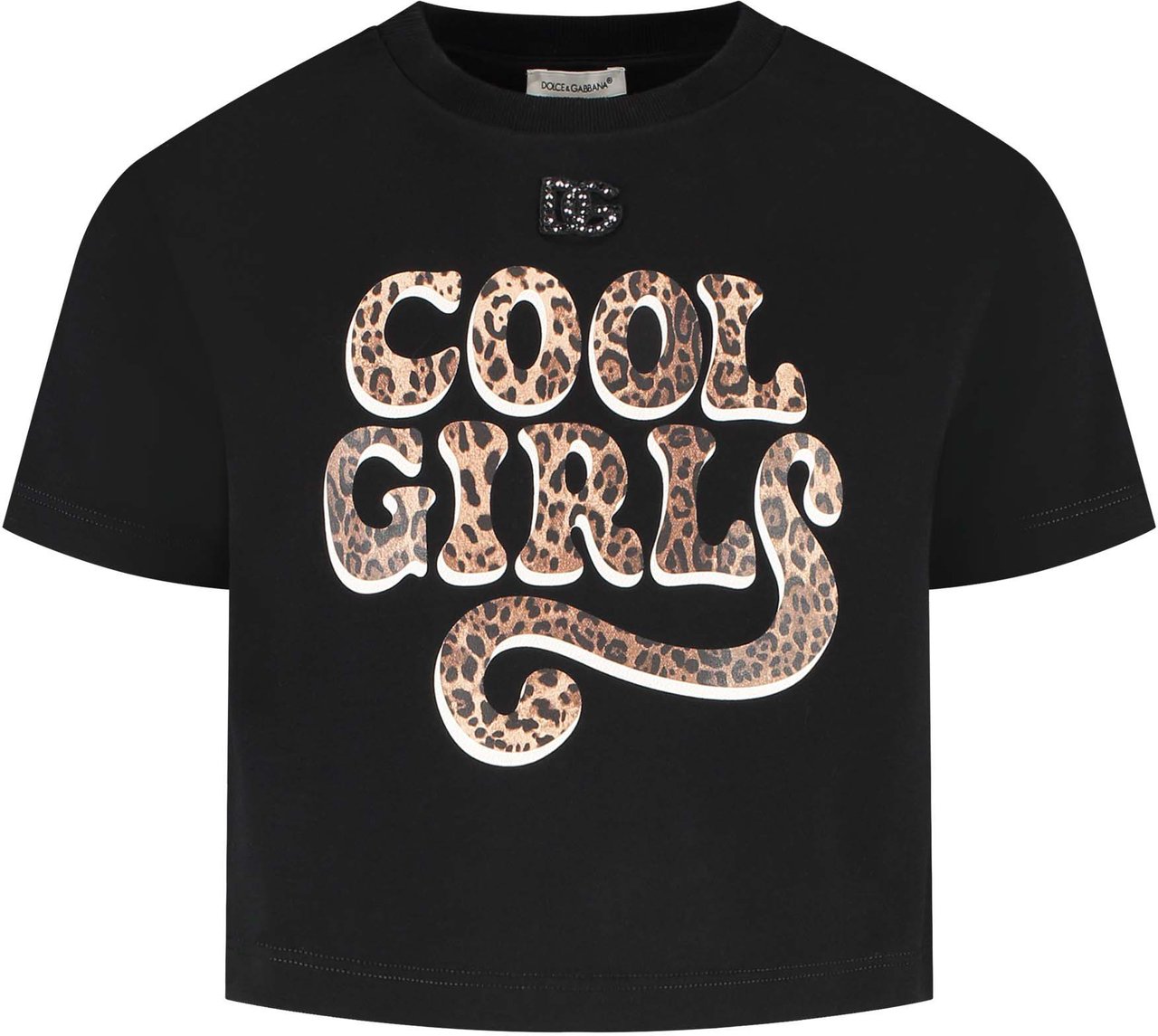 Dolce & Gabbana T-shirt Bruin