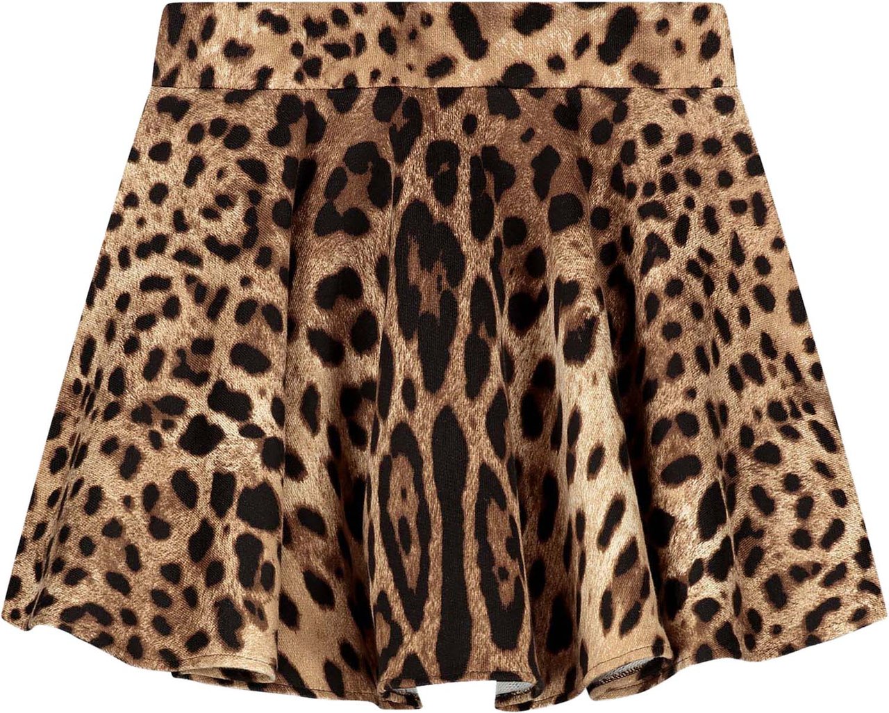 Dolce & Gabbana Skirt Bruin