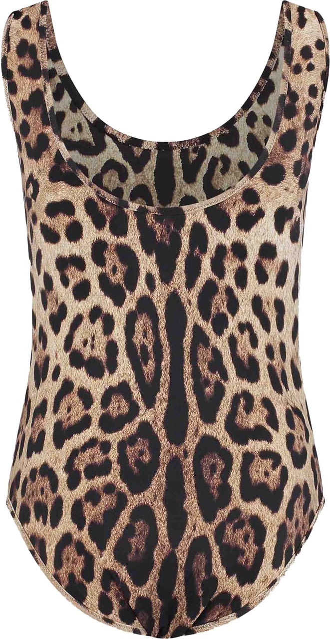 Dolce & Gabbana Swimsuit One Piece Bruin