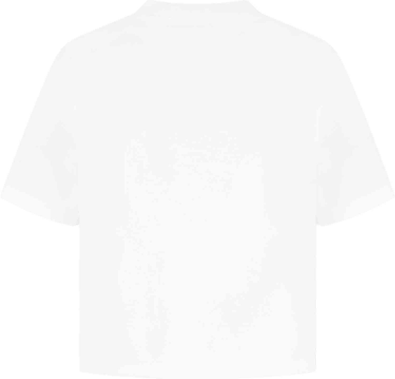 Dolce & Gabbana T-shirt Wit