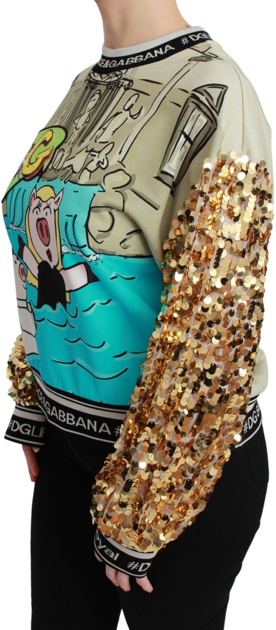 Dolce & Gabbana Year of the Pig Sequined Top Sweater Divers