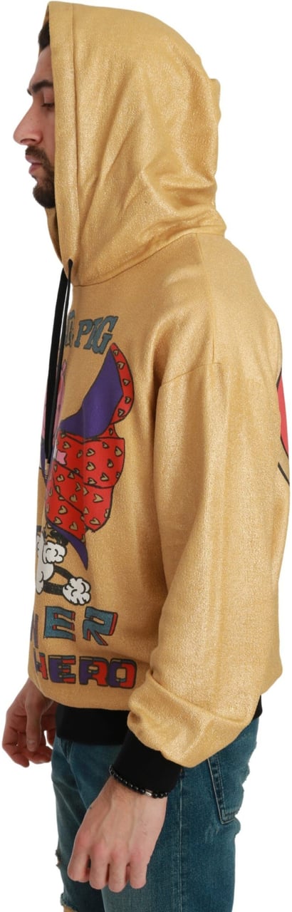 Dolce & Gabbana Gold Pig of the Year Hooded Sweater Goud