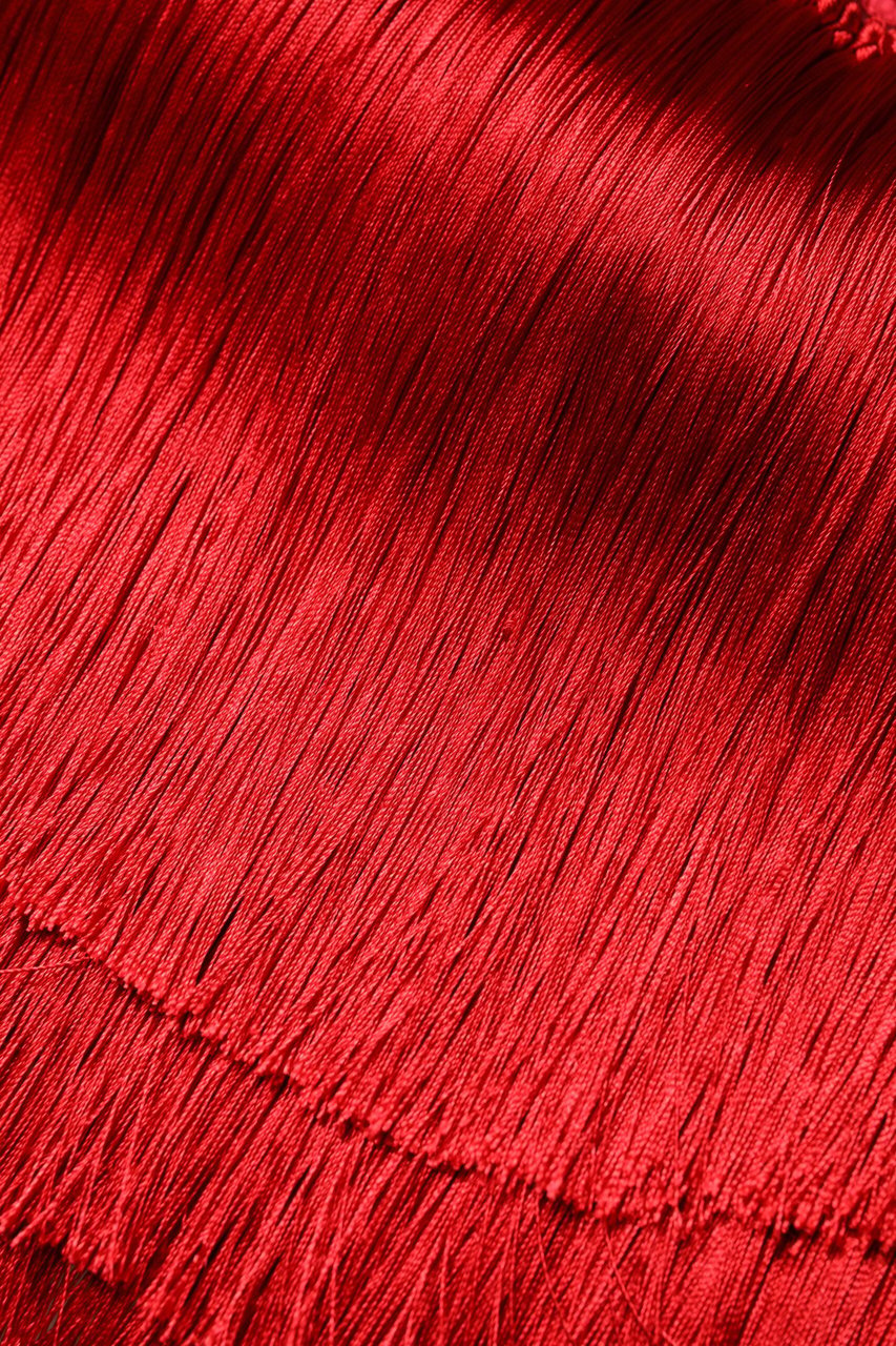 Dolce & Gabbana Red Silk Strapless Fringe Crop Tube Top Rood