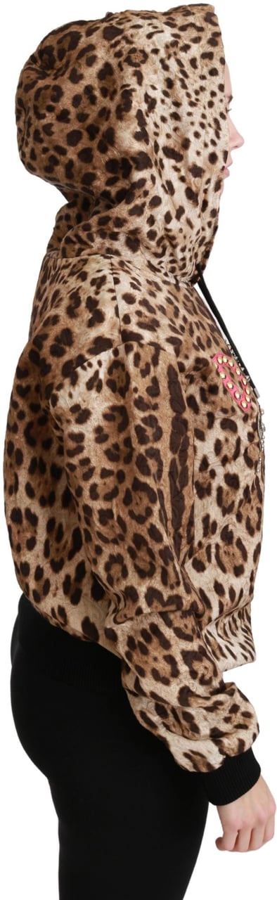 Dolce & Gabbana Brown Hooded Studded Ayers Leopard Sweater Bruin
