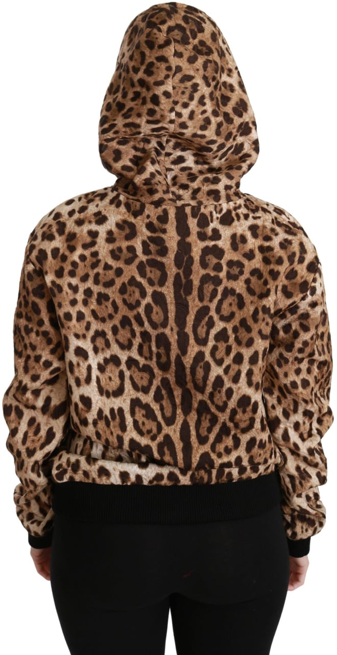 Dolce & Gabbana Brown Hooded Studded Ayers Leopard Sweater Bruin