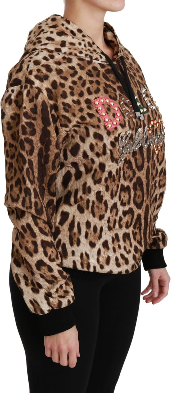 Dolce & Gabbana Brown Hooded Studded Ayers Leopard Sweater Bruin