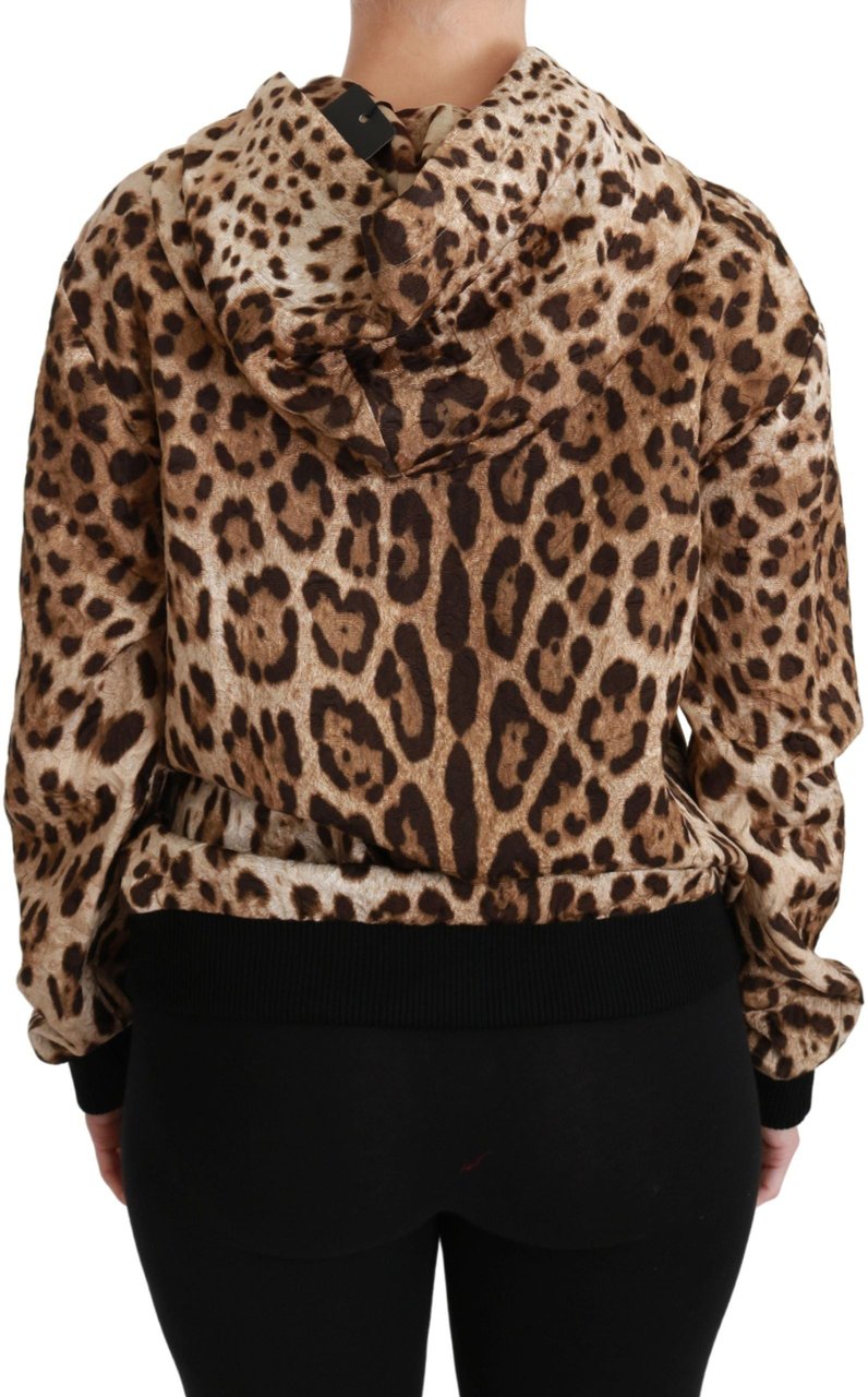 Dolce & Gabbana Brown Hooded Studded Ayers Leopard Sweater Bruin