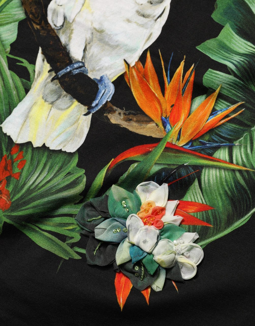 Dolce & Gabbana Black Tropical Print Cotton Round Neck T-Shirt Zwart