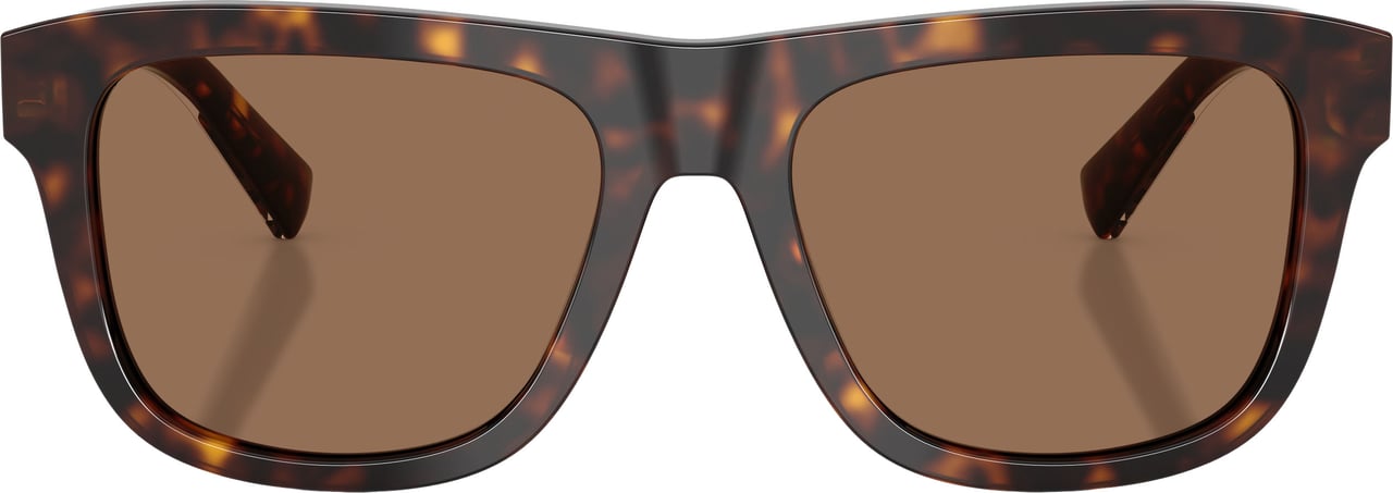 Dolce & Gabbana 0dg4545 Rectangular Tortoiseshell Sunglasses Bruin