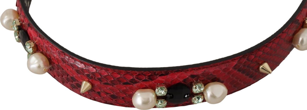 Dolce & Gabbana Red Exotic Leather Crystals Bag Shoulder Strap Rood