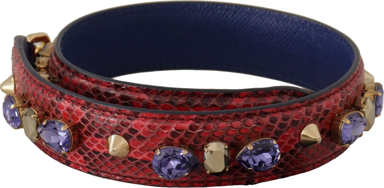 Dolce & Gabbana Red Exotic Leather Crystals Bag Shoulder Strap Rood