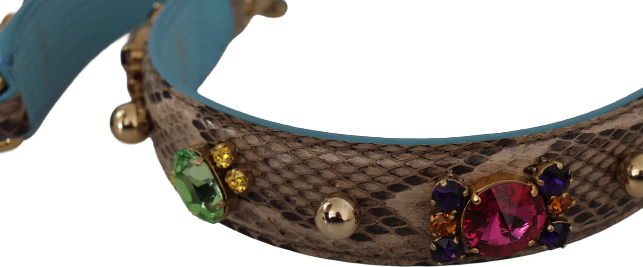 Dolce & Gabbana Brown Exotic Leather Crystals Shoulder Strap Bruin