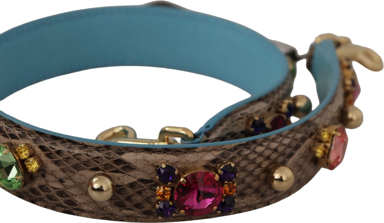 Dolce & Gabbana Brown Exotic Leather Crystals Shoulder Strap Bruin