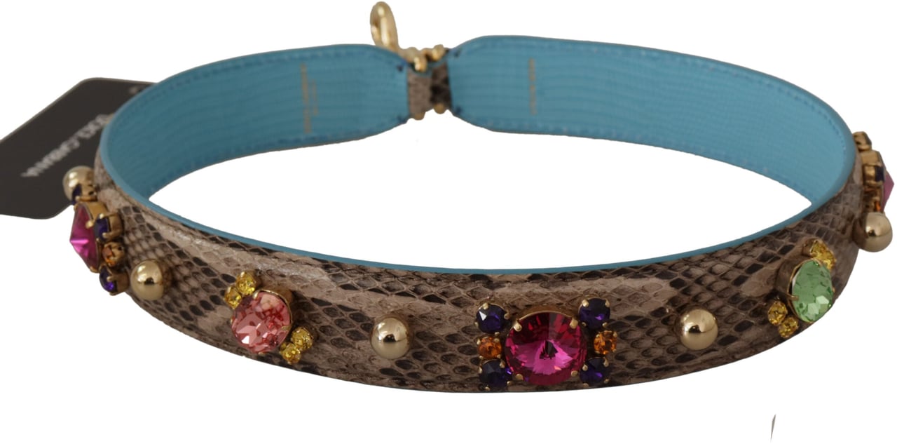 Dolce & Gabbana Brown Exotic Leather Crystals Shoulder Strap Bruin