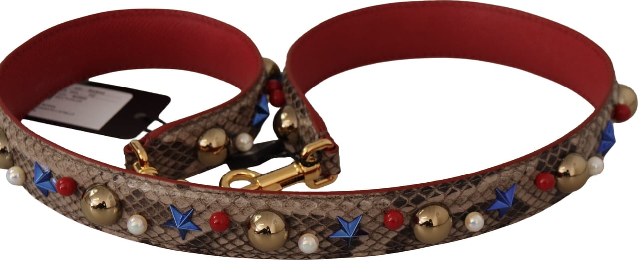 Dolce & Gabbana Brown Python Leather Studded Shoulder Strap Bruin
