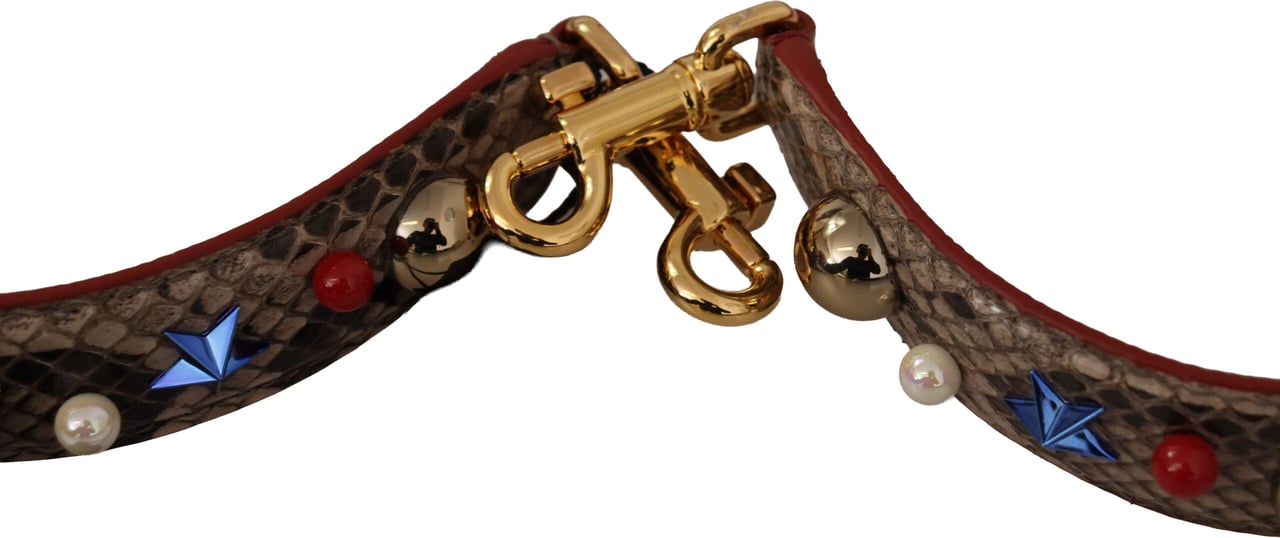 Dolce & Gabbana Brown Python Leather Studded Shoulder Strap Bruin