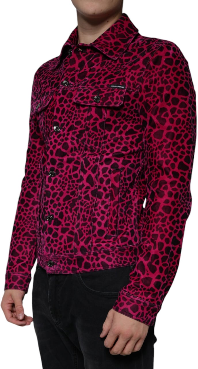 Dolce & Gabbana Fuchsia Leopard Button Down Collared Jacket Divers