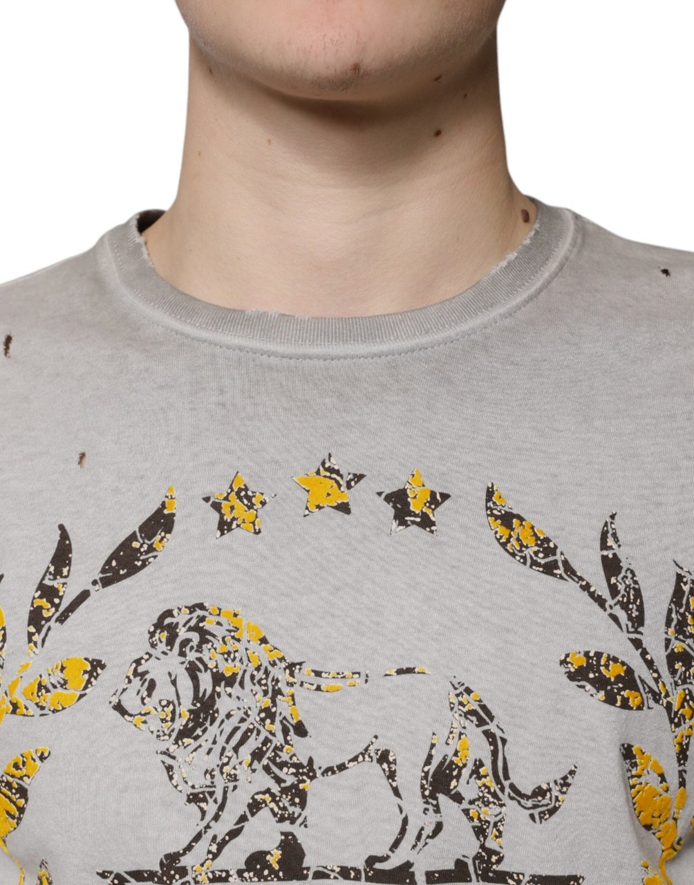 Dolce & Gabbana Gray Printed Cotton Crewneck Pullover Sweater Grijs
