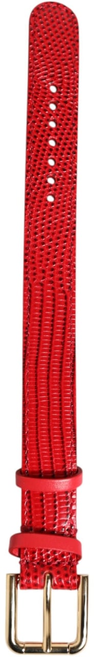 Dolce & Gabbana Red Exotic Leather Gold Tone Metal Buckle Women Armband Rood