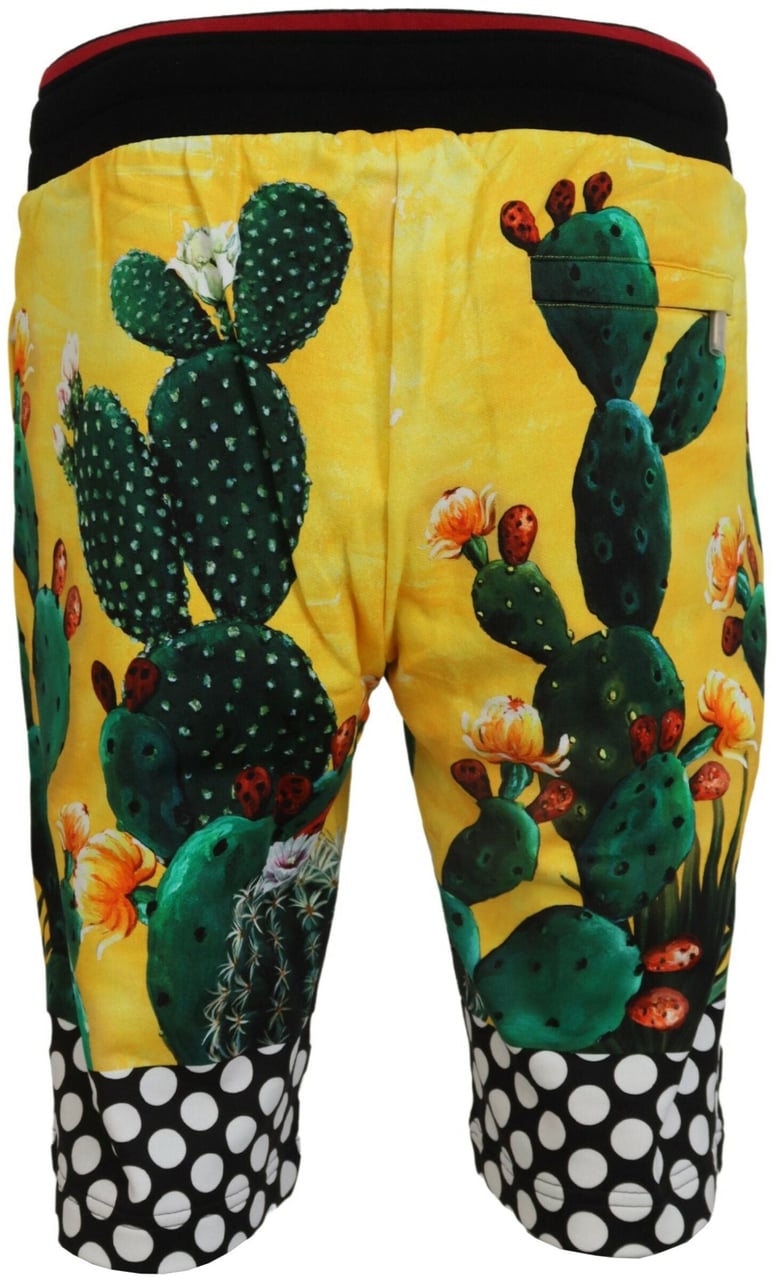 Dolce & Gabbana Multicolor Cactus Print Cotton Sweat Shorts Divers
