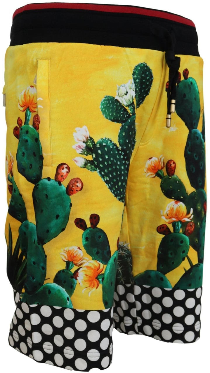 Dolce & Gabbana Multicolor Cactus Print Cotton Sweat Shorts Divers