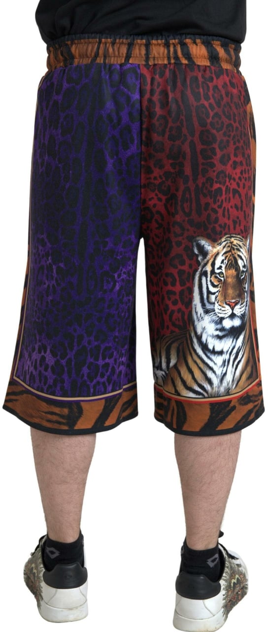 Dolce & Gabbana Multicolor Tiger Print Men Bermuda Shorts Divers