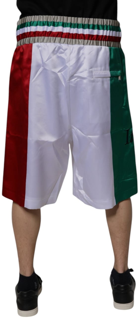 Dolce & Gabbana Multicolor Italia Polyester Bermuda Shorts Divers