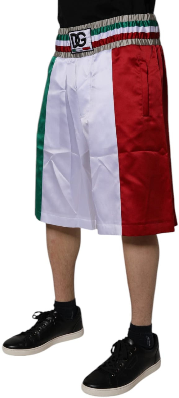 Dolce & Gabbana Multicolor Italia Polyester Bermuda Shorts Divers