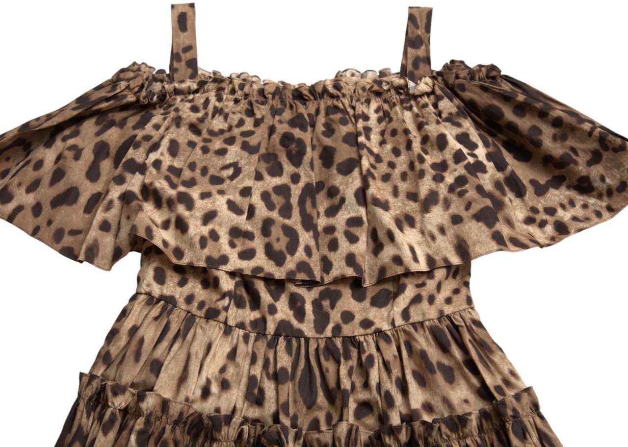Dolce & Gabbana Brown Leopard Print Sleeveless A-line Dress Bruin