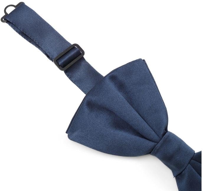 Dolce & Gabbana Dolce & Gabbana Blue Silk Bowtie Blauw