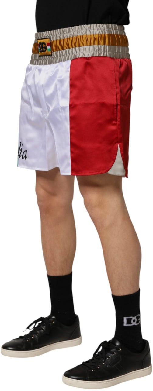 Dolce & Gabbana Multicolor Italia Polyester Bermuda Shorts Divers